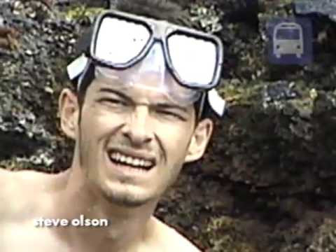 411VM-Issue 32 (1999)Featuring-Arto Saari, Chad Fernandez, Gianni Zattoni, Giorgio Zattoni, Mark Baines, Rob Gonzalez and Mike Vallely.