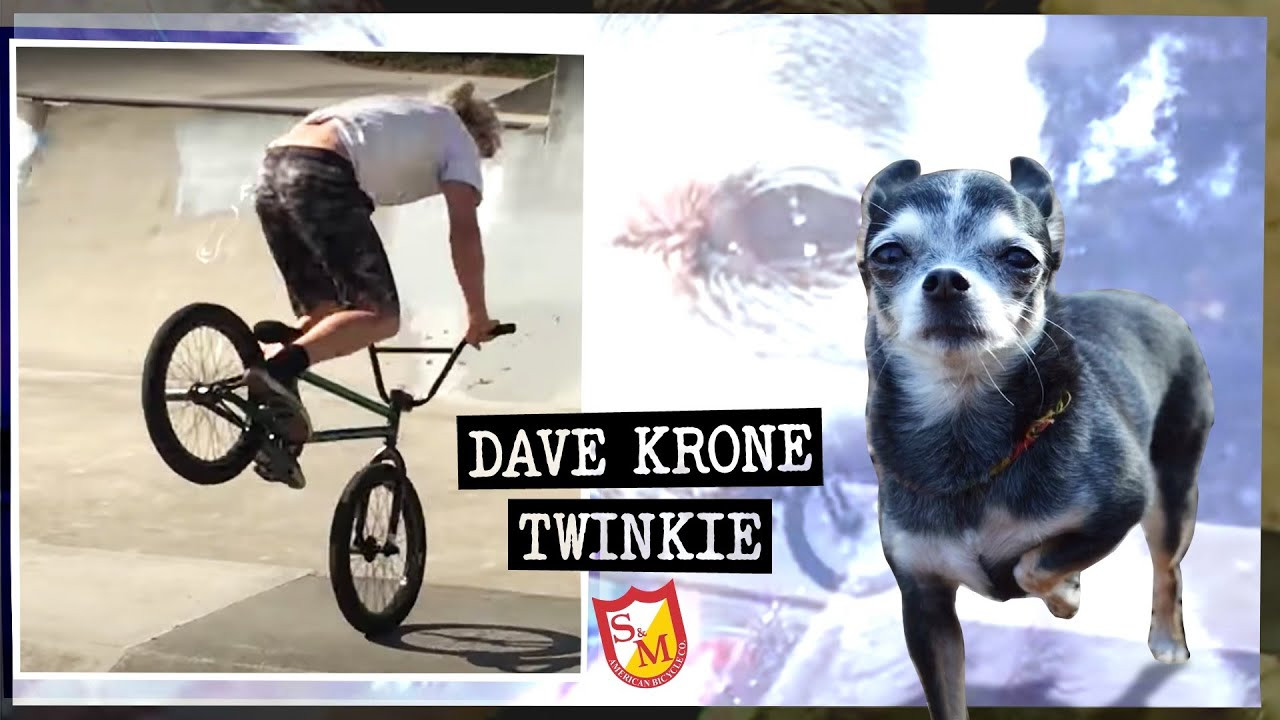 A little project Dave put together over the summer with his bestie "Twinkie" in mind. All dogs go to heaven and she's runnin' with the big dawgs now!