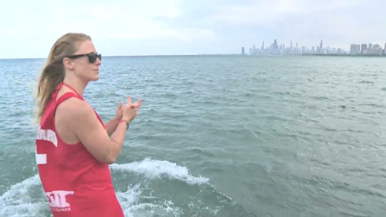 Way too hilarious, good times for Chicago! <br />https://sapientskateboards.com/