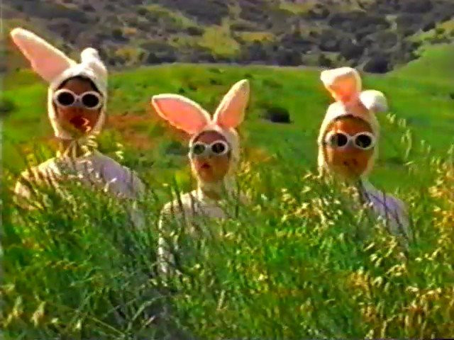 Best of 411VM-Volume 3 (1996)<br />Featuring Bob Burnquist, Brad Staba, Caine Gayle, Danny Montoya, Forrest Kirby, Gershon Mosely, Jason Maxwell, Kris Markovich, Ryan Bartsma and Mike Crum.