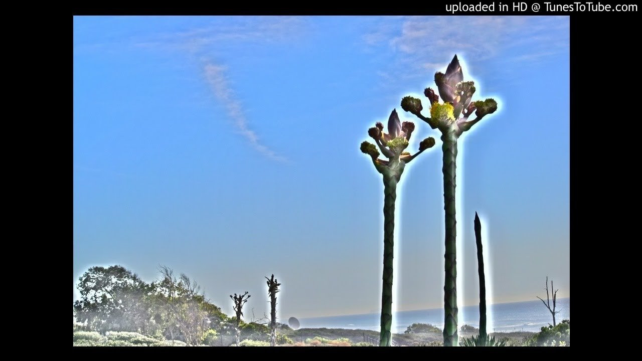 Icons-Strictly Hip Hop (2003)<br /> NeedlesMicsCansLinoleum<br /> <br /> -Video Upload powered by https://www.TunesToTube.com