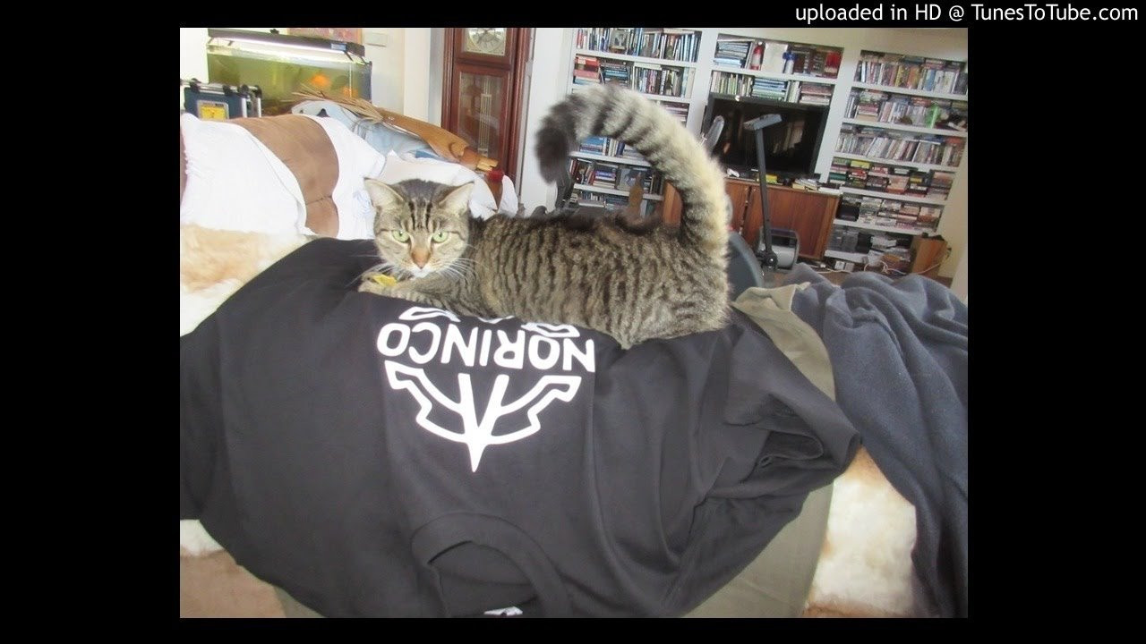 Icons-Composure (2003)<br /> NeedlesMicsCansLinoleum<br /> <br /> -Video Upload powered by https://www.TunesToTube.com