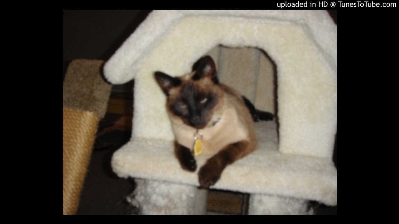 Presage-Novus Ordo Seclorum<br /> Mr Dibbs and Jel<br /> <br /> -Video Upload powered by https://www.TunesToTube.com