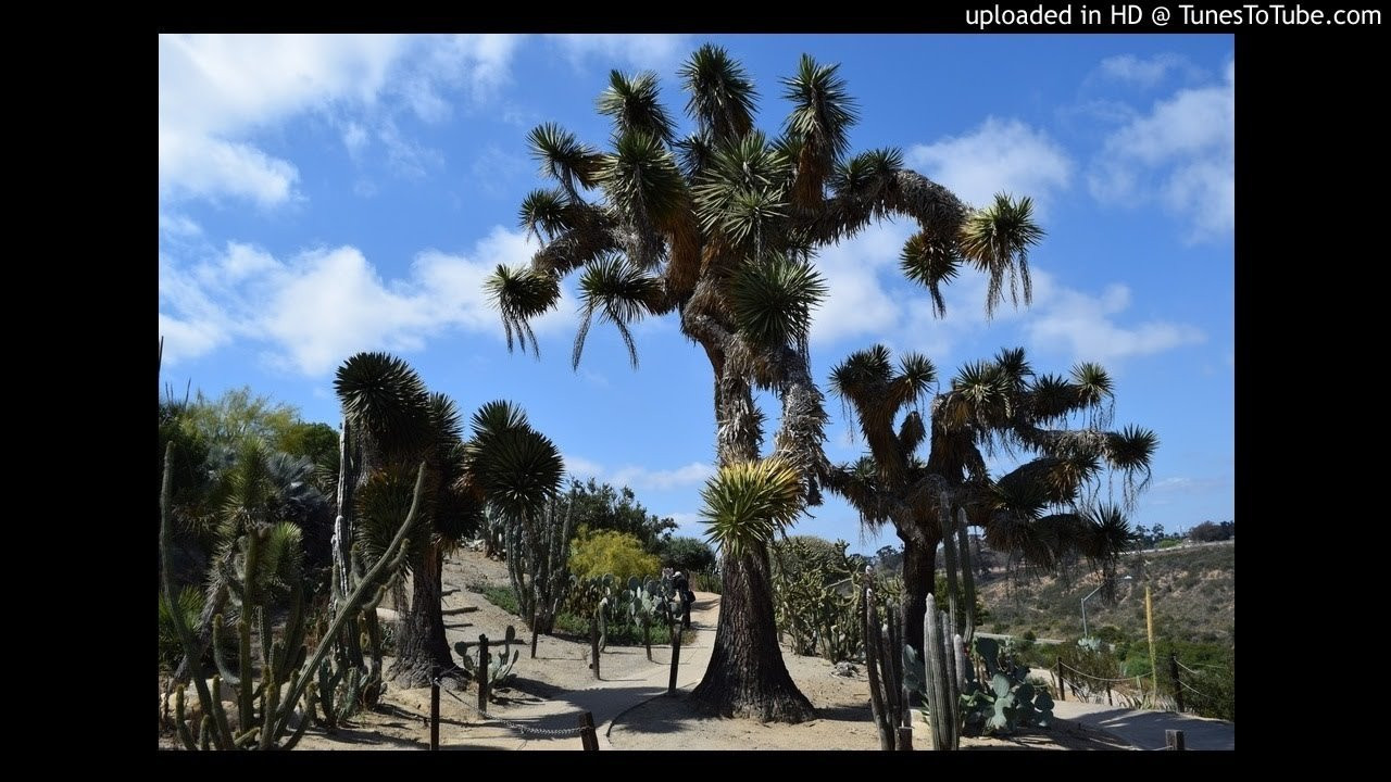 Icons-Poison Ink<br /> <br /> -Video Upload powered by https://www.TunesToTube.com