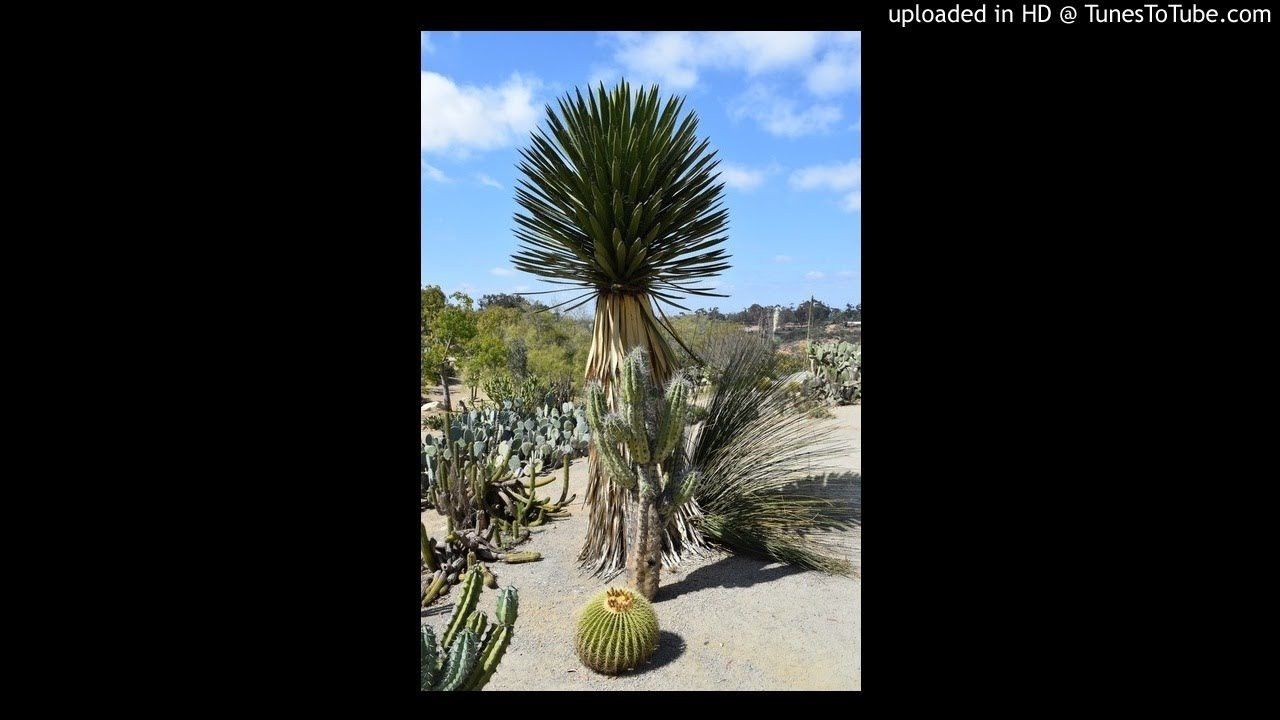 Roundtable MC's-Universal Discussion<br /> <br /> -Video Upload powered by https://www.TunesToTube.com