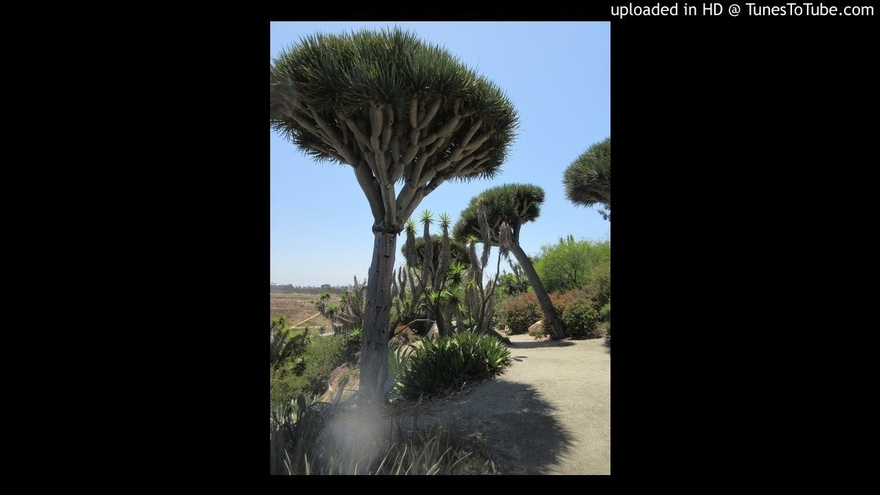 Roundtable MC's-Cardiod Pattern<br /> <br /> -Video Upload powered by https://www.TunesToTube.com