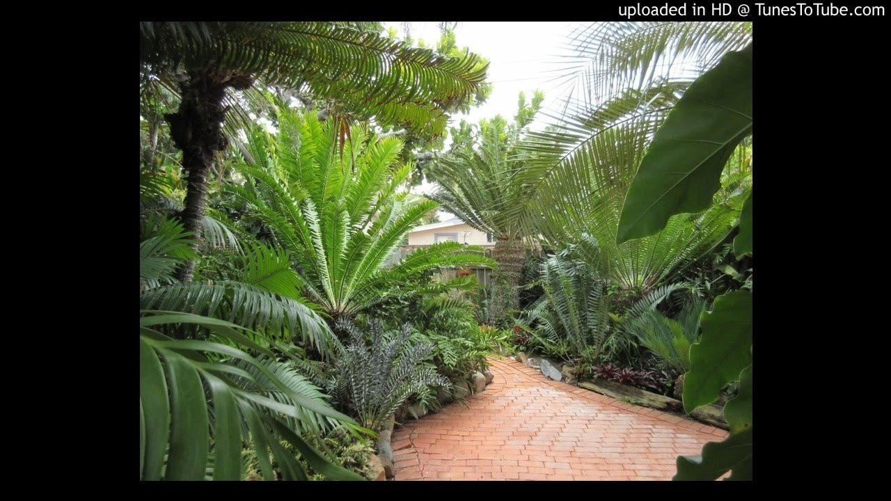Tino Corp-Sympathetic Vibrations Dub<br /> <br /> -Video Upload powered by https://www.TunesToTube.com