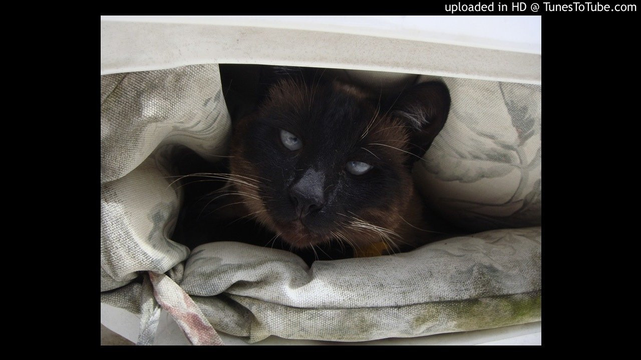 Icons-Relax<br /> What Legends Are Made Of<br /> <br /> -Video Upload powered by https://www.TunesToTube.com