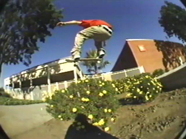 Transworld-Feedback (1999)<br />Video will be immediately removed upon request from Transworld<br />Starring-Andrew Reynolds, Anthony Van Engelen, Arto Saari, Bam Margera, Chad Muska, Geoff Rowley, Jason Dill, Kerry Getz, Mike Maldonado and Neal Mims.