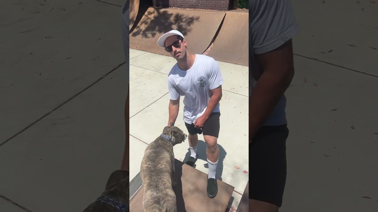 Enjoy the videos and music you love, upload original content, and share it all with friends, family, and the world on YouTube.