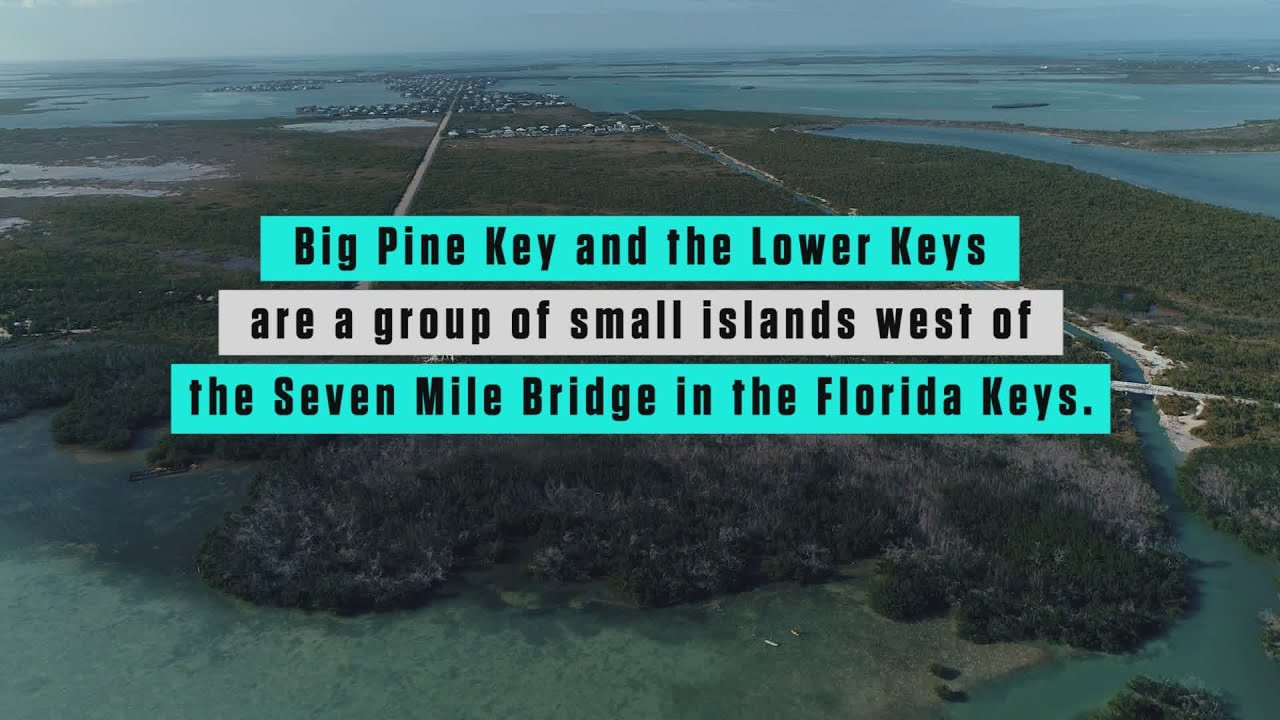 How to have the best paddle weekend ever in Big Pine Key, Florida, packed full of easy access to the wildlife-packed paddling tours of No Name Key and its small outer islands, plus stops at the National Key Deer Wildlife Refuge and Bahia Honda State Park. See more video at supthemag.com -- <br /><br />https://www.supthemag.com/videos/<br />https://www.youtube.com/channel/UCiCUiIxc6CsWK75idM0eMLg/videos