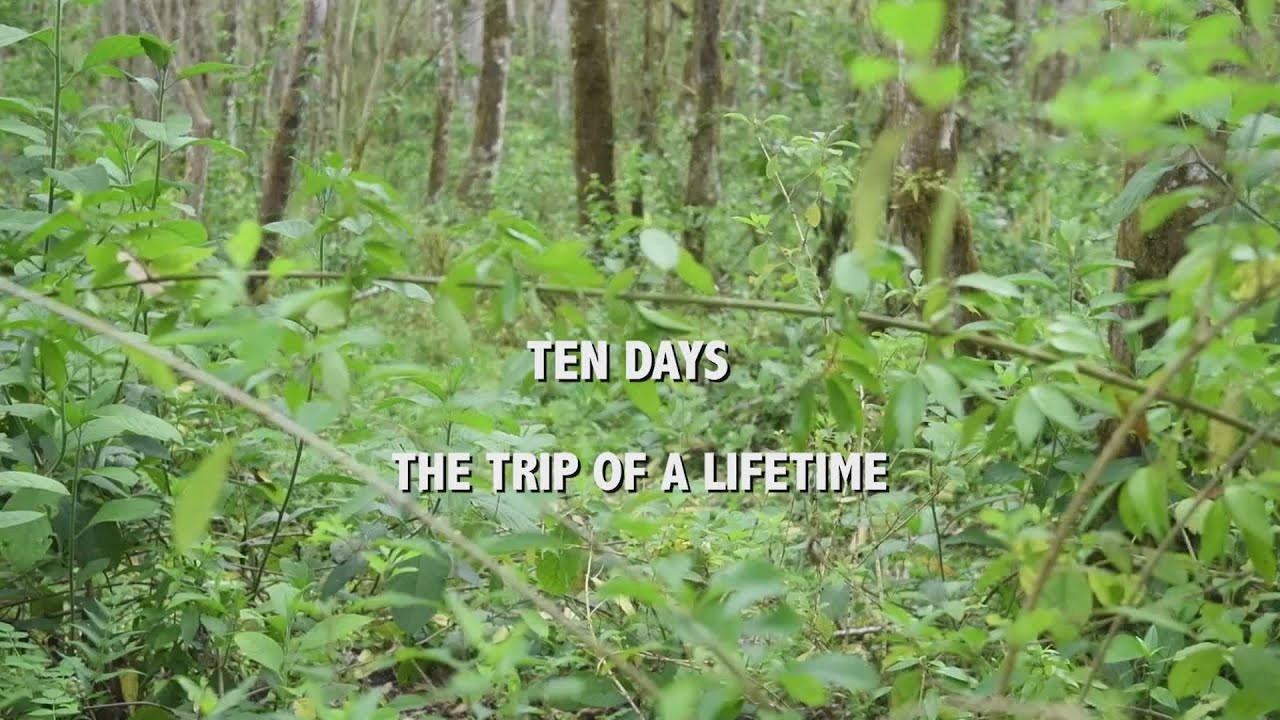 Explore the three Galapagos Islands of Ecuador's prized National Park with this 10-day dream SUP adventure from SUP Magazine and Southern Explorations, featuring breathtaking paddling, world-class snorkeling, countless hiking and biking side-adventures with endless wildlife encounters and unforgettable meals. <br /><br />For more information on the Galapagos SUP Adventure, visit https://www.southernexplorations.com/<br />And for more SUP Dream Retreats, visit https://www.supthemag.com/dreamretreats/