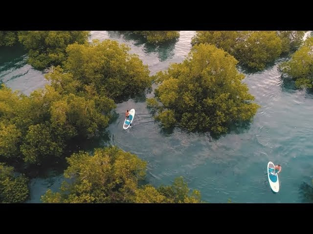 For paddlers with the travel bug, the scenic mangrove forests of Tanzania make for an ideal SUP destination. Video courtesy of Big Style.