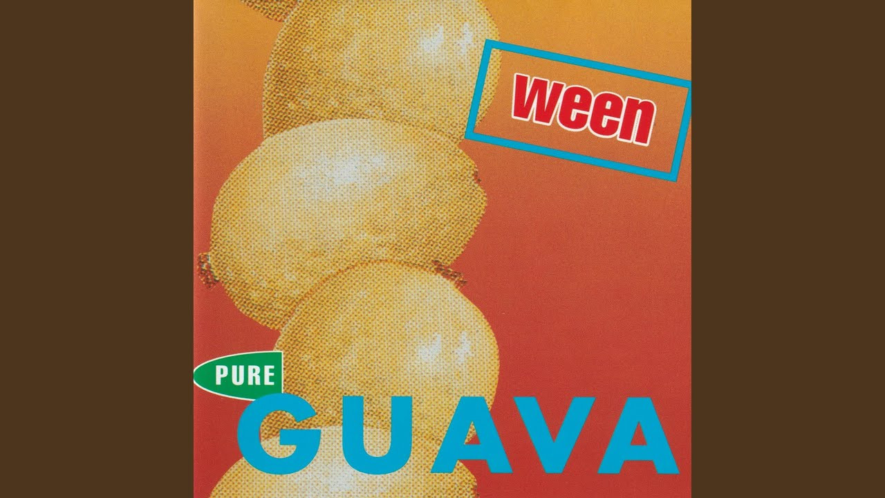 Provided to YouTube by Chocodog Records<br /><br />The Stallion (Pt. 3) · Ween<br /><br />Pure Guava<br /><br />℗ 1992 Chocodog Records<br /><br />Released on: 1992-11-10<br /><br />Main Artist: Ween<br />Music Publisher: Browndog Music (BMI)<br /><br />Auto-generated by YouTube.