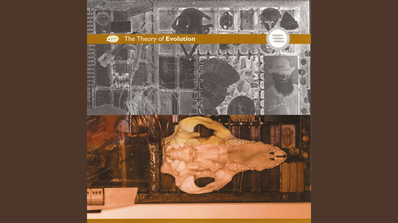 Provided to YouTube by IIP-DDS<br /><br />Peschi · Reload · Mark Pritchard<br /><br />The Theory of Evolution<br /><br />℗ Warp Records Under Exclusive Licence From Evolution Productions<br /><br />Released on: 1995-04-03<br /><br />Auto-generated by YouTube.
