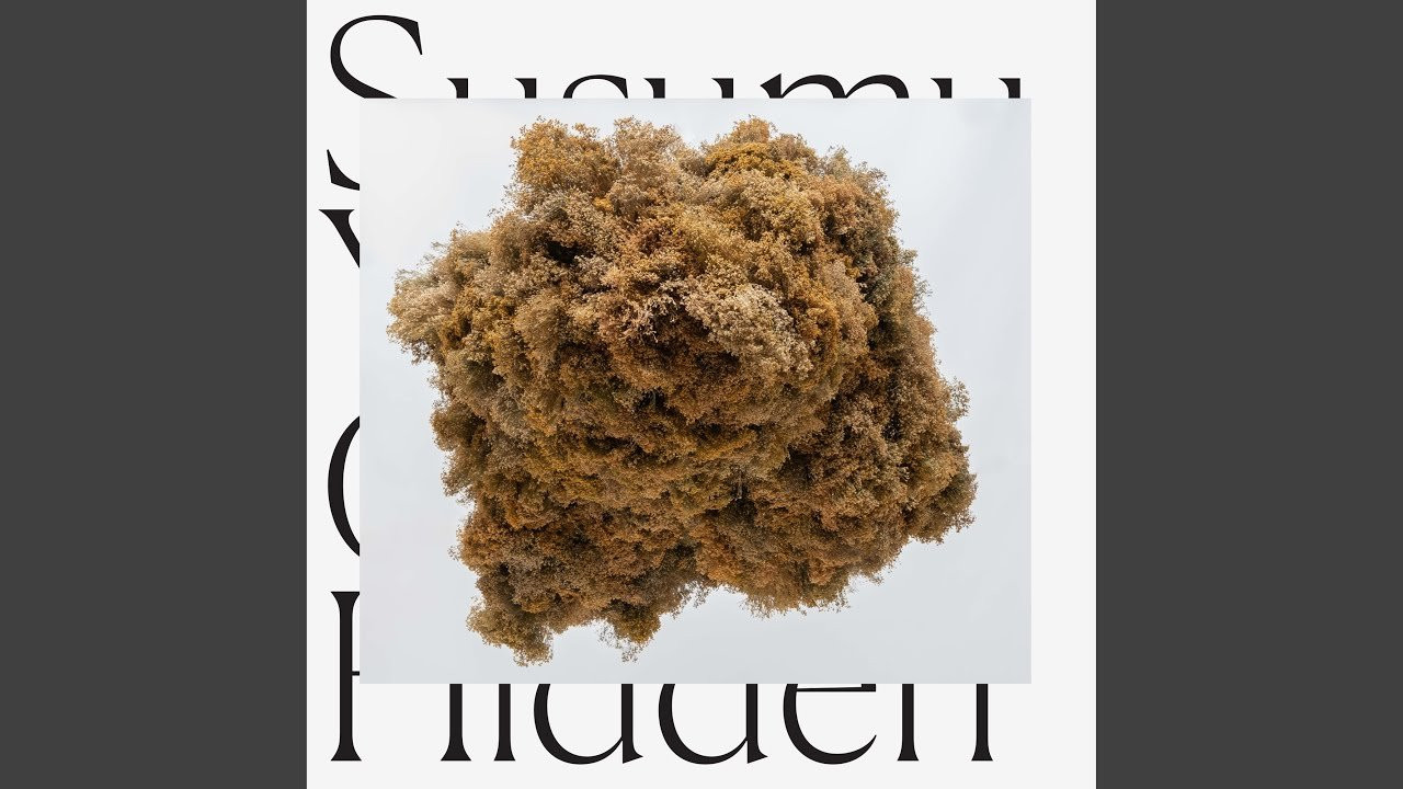 Provided to YouTube by The state51 Conspiracy<br /><br />Implications of Karma · Susumu Yokota<br /><br />Cloud Hidden<br /><br />℗ 2019 Lo Recordings<br /><br />Released on: 2019-10-18<br /><br />Mixer, Producer: Jon Tye<br />Composer: Susumu Yokota<br />Music Publisher: Hub 100 Publishing<br /><br />Auto-generated by YouTube.