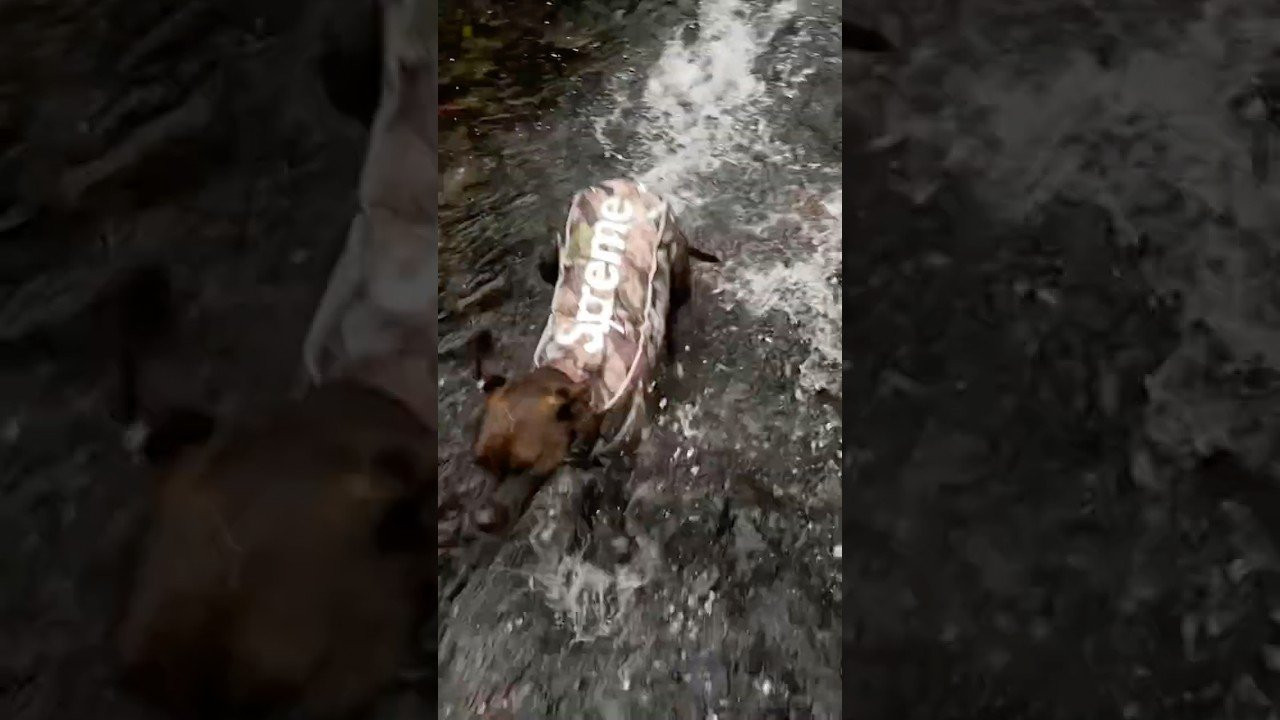 Enjoy the videos and music you love, upload original content, and share it all with friends, family, and the world on YouTube.