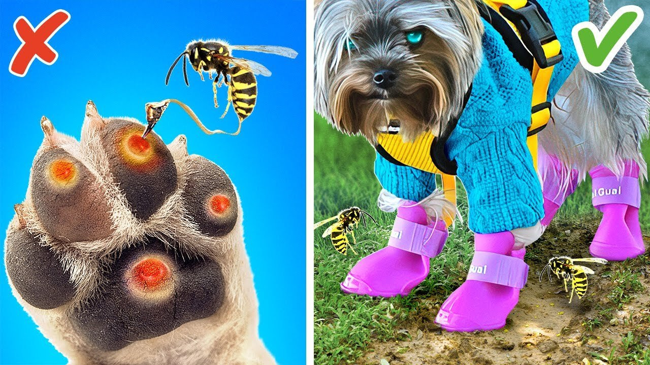 There are a lot of amazing gadgets not only for people but for our furry friends too. So we tested some pet gadgets and compared them with crafts and hacks. What do you think are better tools from the shop or DIY stuff? <br /><br />00:00 Who is our next top dog model? <br />00:11 Don't be afraid of the rain / Dog boots <br />00:51 Everywhere together with your pup / Pet carrier <br />01:34 No need to touch a poo / Pooper scooper <br />02:32 Pet brush<br />03:25 For smart dogs / Treat puzzle <br />04:22 Will keep your dog busy / Licking mat <br />05:09 For the perfect smile / Pet toothbrush <br />05:46 Fast and furious / Interactive cat toy <br />06:42 Escape fails / Puppy bumper <br />07:14 Like a princess / Pet house<br />08:10 Play and learn / Interactive dog toy<br />09:04 Don't even need to go outside / Dog toilet <br />09:54 Can catch it? / Cat laser toy <br />10:45 Pet selfies tool<br /><br />#pets #gadgets #cooltool <br /><br />This activity is performed by actors in a controlled and safe environment, and has been made for entertainment purposes. Please use caution if you plan to replicate. No animals were harmed during filming.