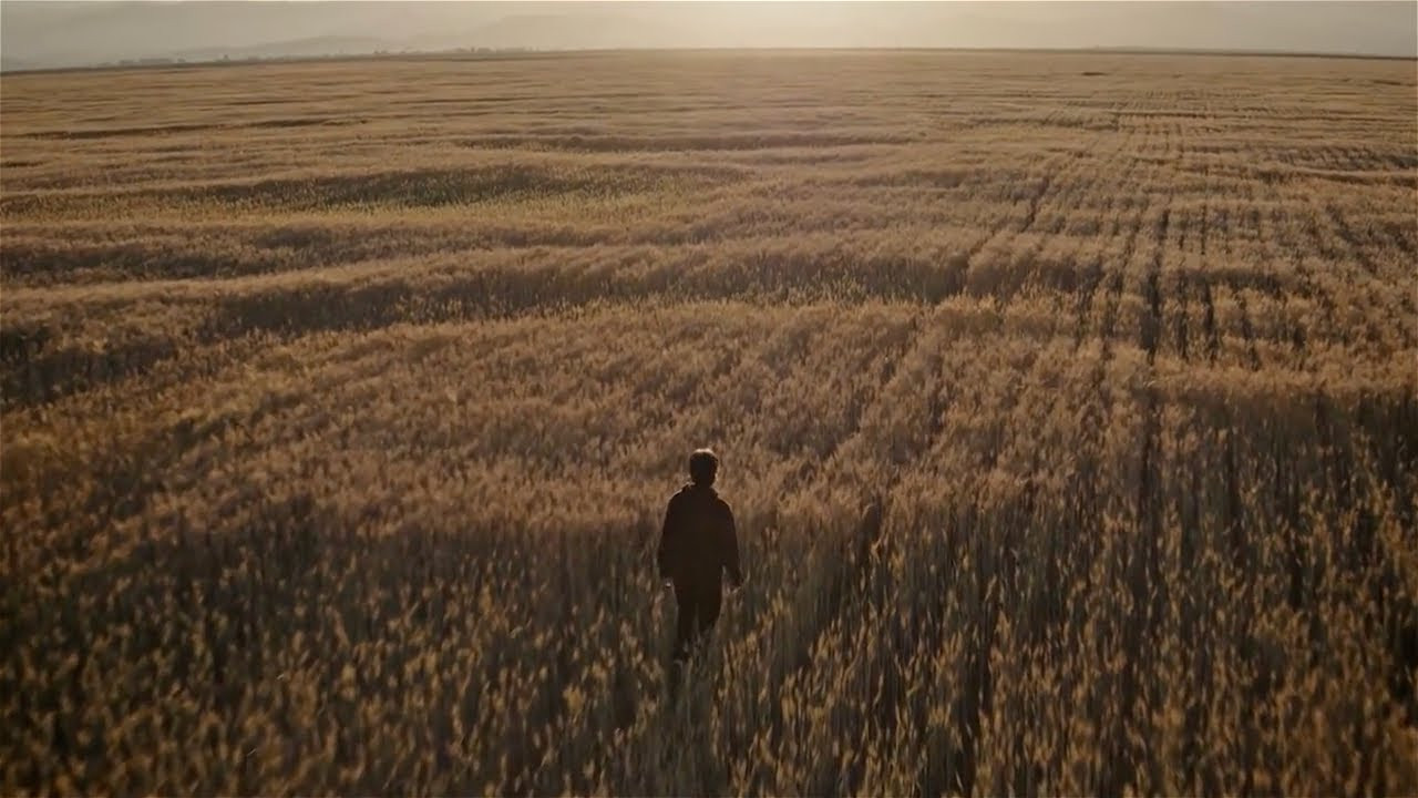 Directed by Ben Solomon.