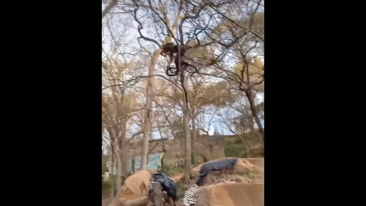 Matty works for SpaceX now