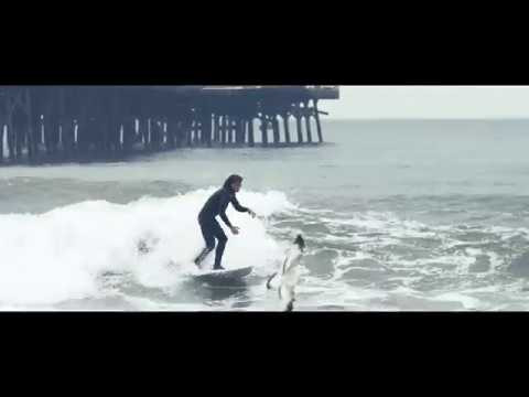 Music by Dickless Juli: "Get Out of My Way"<br /><br />http://www.TheSurfChannel.com<br />___<br /><br />The Surf Channel is an original, free, ad supported television network delivered on cable, satellite and IPTV services, web and wireless. The Video On Demand television network will be found on cable, satellite, telco and digital. Distribution partners include: Comcast, Cox Communications, DirecTV, Dish Network, Filmon.com.<br /><br />For industry news around the clock and to find out about the upcoming television launch, check out:<br /><br />http://www.TheSurfChannel.com<br />http://www.Facebook.com/TheSurfChannel<br />http://www.Twitter.com/TheSurfChannel<br />http://www.Instagram.com/TheSurfChannel<br /><br />* Twitter/Instagram your best barrel face to win prizes every month to #TheSurfChannel #BarrelFace, and 'Like' us on Facebook to join history's first network dedicated to the great sport of surfing.