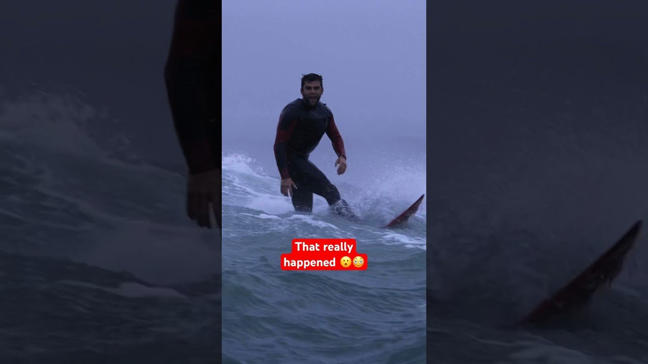 Half Moon Bay local Luca Padua and Santa Cruz tow partner Alo Slebir made the most of the epic December 28 swell at Maverick’s, establishing themselves as the next generation of local heroes in the process. <br /><br />Video: Dom Padua