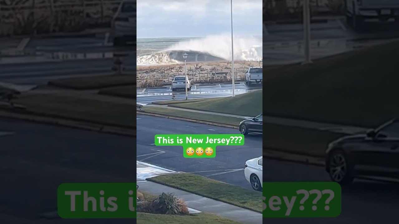 Video by: Matt D’Angelo