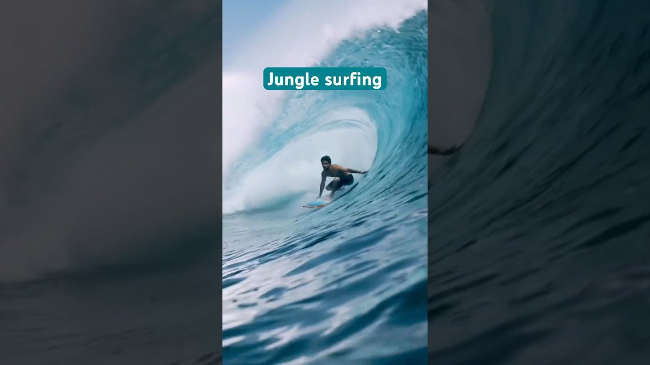 Do Javanese tigers still exist? Let us know below. Here’s Mason Ho at G-Land. Filmed by @indoeye
