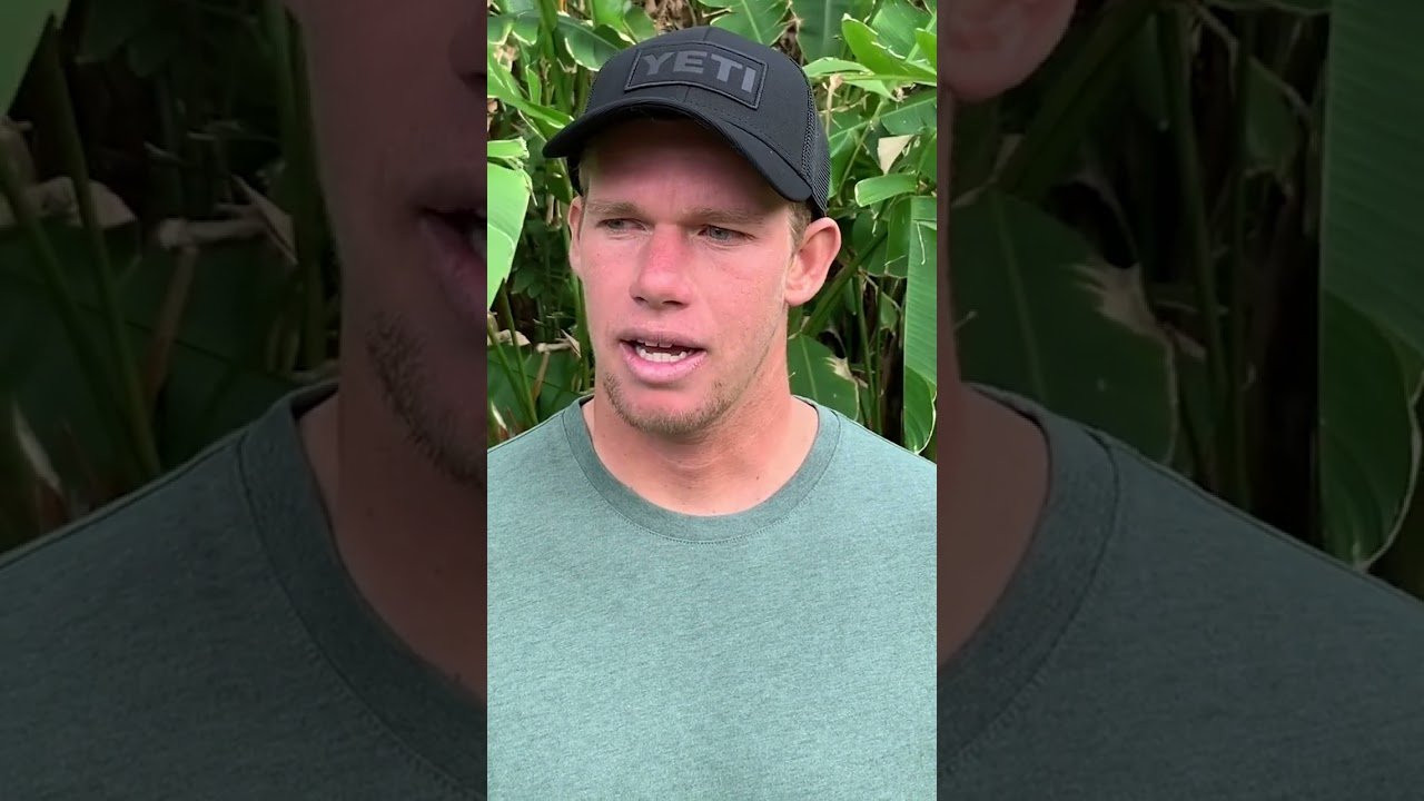 #shorts #surf #favorite