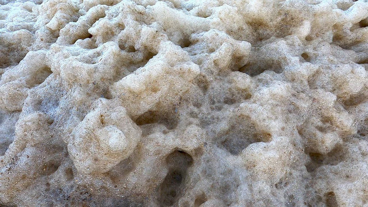 Sea foam is a beige type of foam or spume that appears in the surf zone and at the beach.<br /><br />It's a consequence of the interaction between the breaking of the waves and dissolved organic matter.<br /><br />The result of these mechanical and chemical processes is a fluffy-like spume.<br /><br />Sea foam usually appears during stormy ocean conditions.<br /><br />Strong onshore winds blow sea foam from the shoreline or beach into terra firma.<br /><br />This natural phenomenon often results in large build-ups of froth.<br /><br />Sea foam resembles a sponge or jacuzzi-like bubbles.<br /><br />The Greek and Roman goddesses of love, Aphrodite and Venus, originate from the foam of the sea.<br /><br />Sea foam is not necessarily toxic.<br /><br />However, fossil fuels, stormwater runoff, pesticides, and human-processed contaminants could make it harmful.