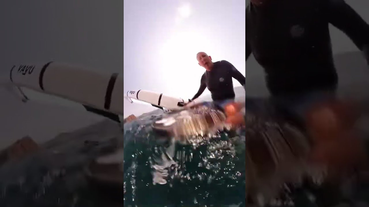 This could have been so much worse. <br />-----------------------------------<br /> Subscribe: <br /> http://www.youtube.com/subscription_center?add_user=surfline<br /> <br /> Become a Surfline Premium Member: <br /> https://surfl.in/2Cd36tF<br /> ----------------------------------