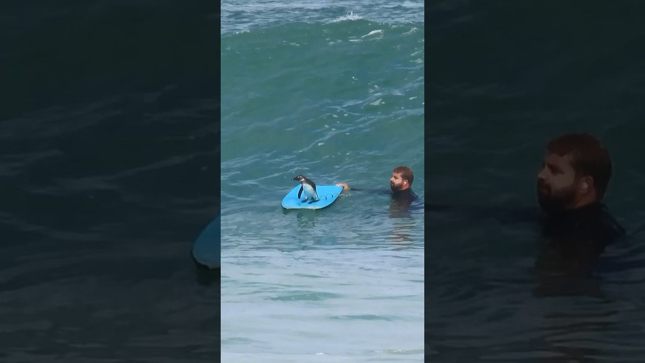 Enjoy the videos and music you love, upload original content, and share it all with friends, family, and the world on YouTube.