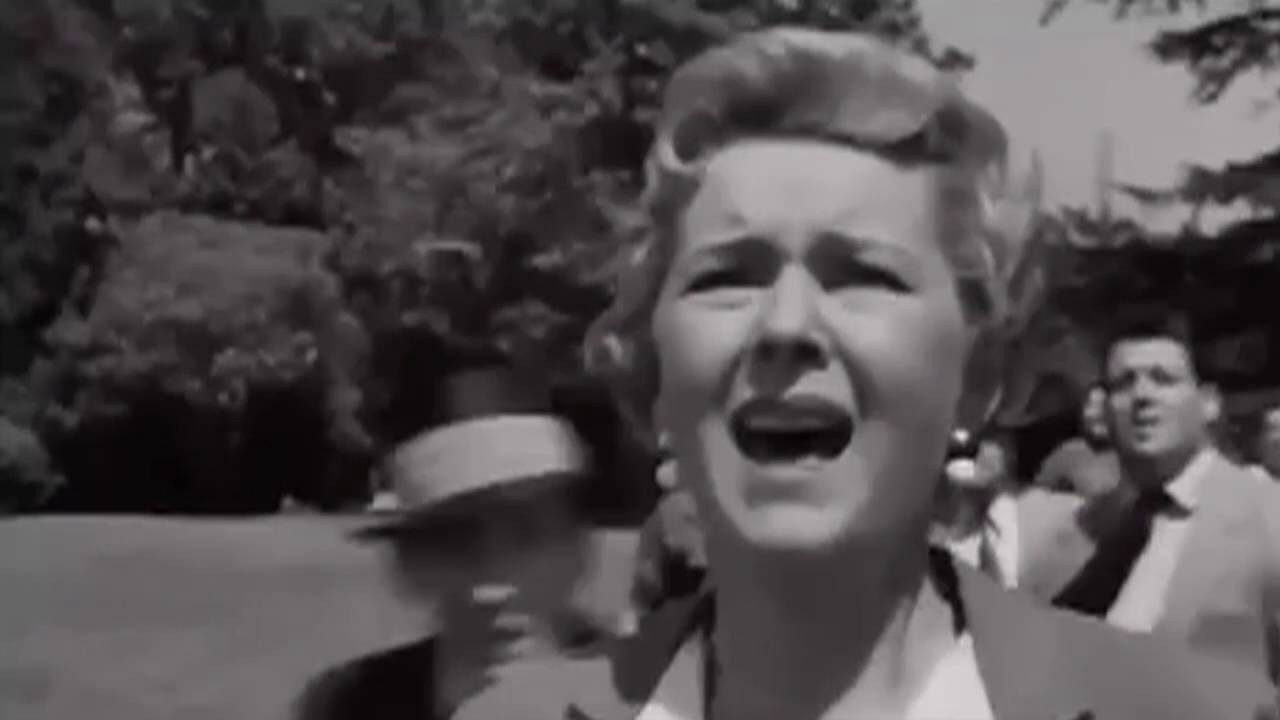 Pledge Your Allegiance