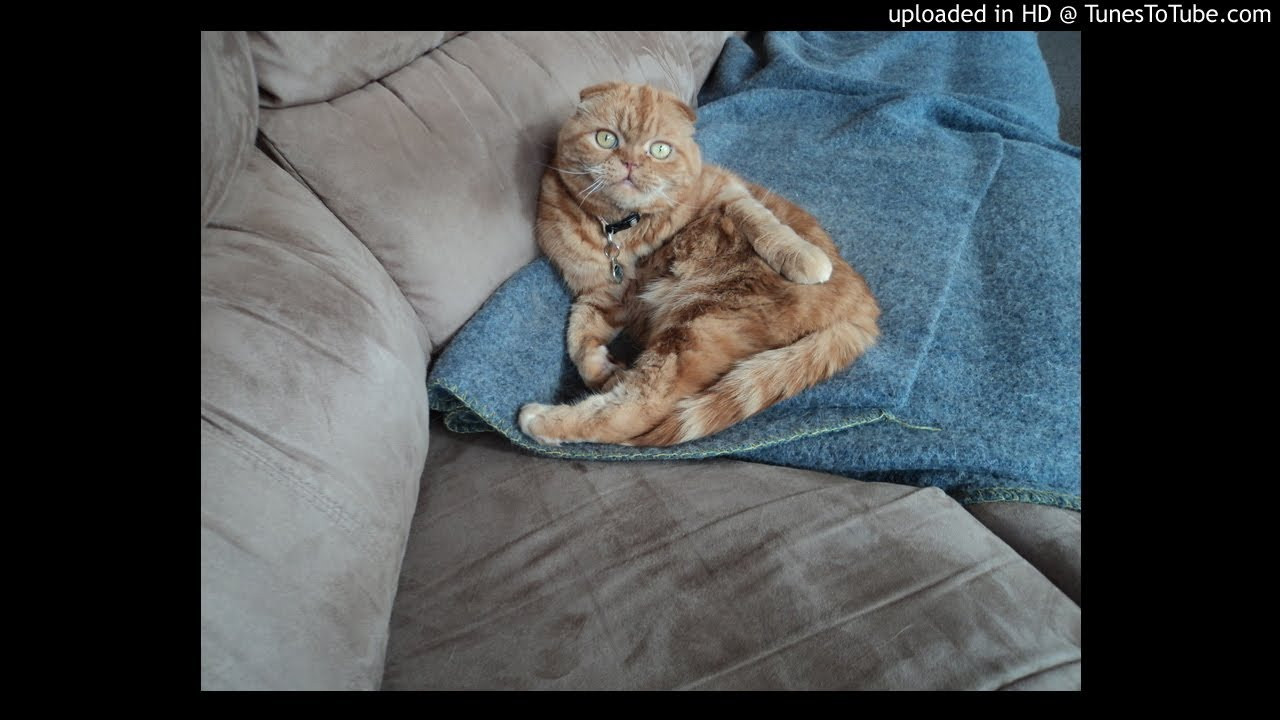 Cue's Hip Hop compilation-Cycles of the Mind<br /> Double Life Featuring Raw B<br /> <br /> -uploaded in HD at http://www.TunesToTube.com