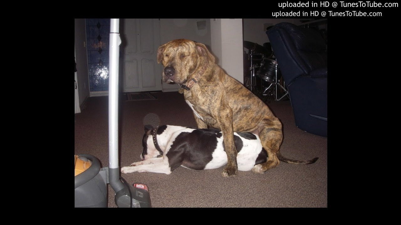 Dj Swamp-He's A Killer<br /> <br /> -uploaded in HD at http://www.TunesToTube.com