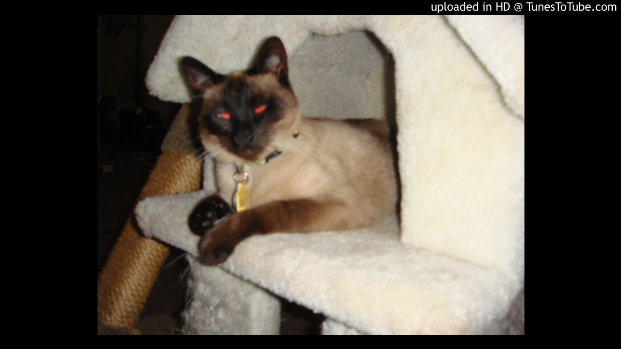 LPSD-Back Atcha (instrumental)<br /> <br /> -uploaded in HD at http://www.TunesToTube.com