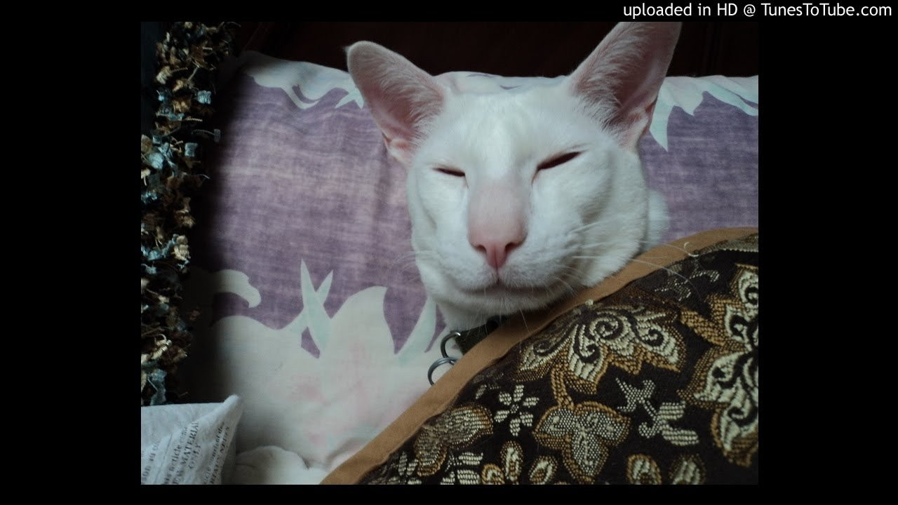 Roundtable M.C.'s-40s at the Roundtable<br /> <br /> -uploaded in HD at http://www.TunesToTube.com