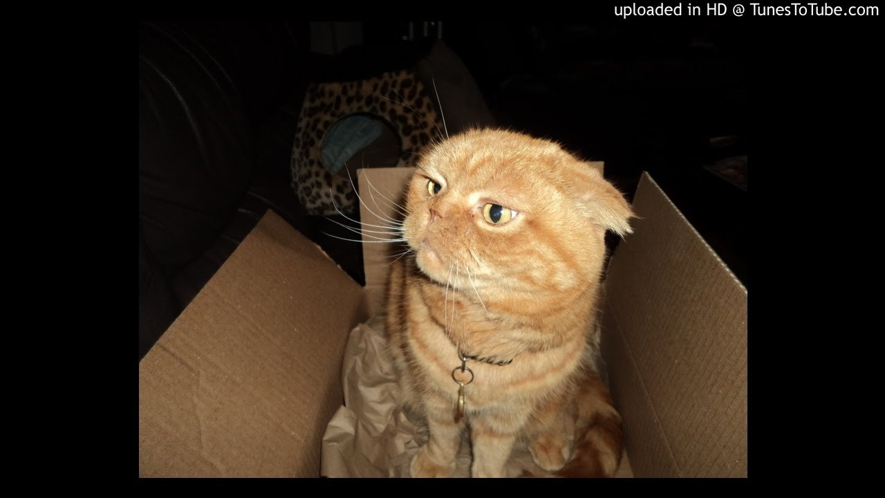 12 Jewels- Foolish Mentality<br /> P-Jays Records<br /> <br /> -uploaded in HD at http://www.TunesToTube.com