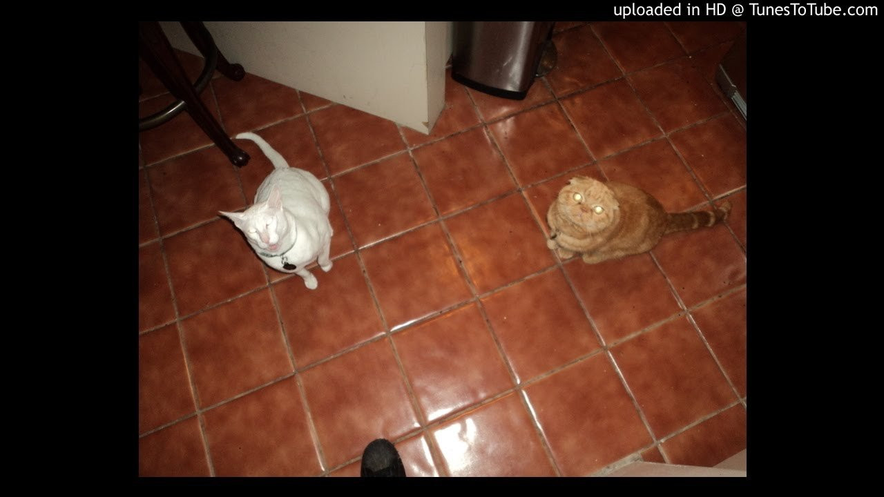 Peanut Butter Wolf-Cronicles<br /> Bomb Hip Hop Compilations<br /> <br /> -uploaded in HD at http://www.TunesToTube.com