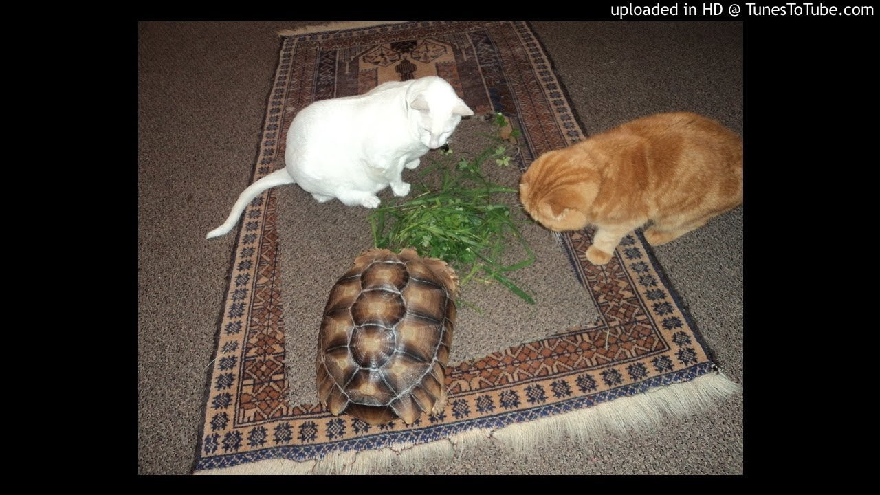 Icons-Outer Limits<br /> What Legends Are Made Of<br /> <br /> -uploaded in HD at http://www.TunesToTube.com