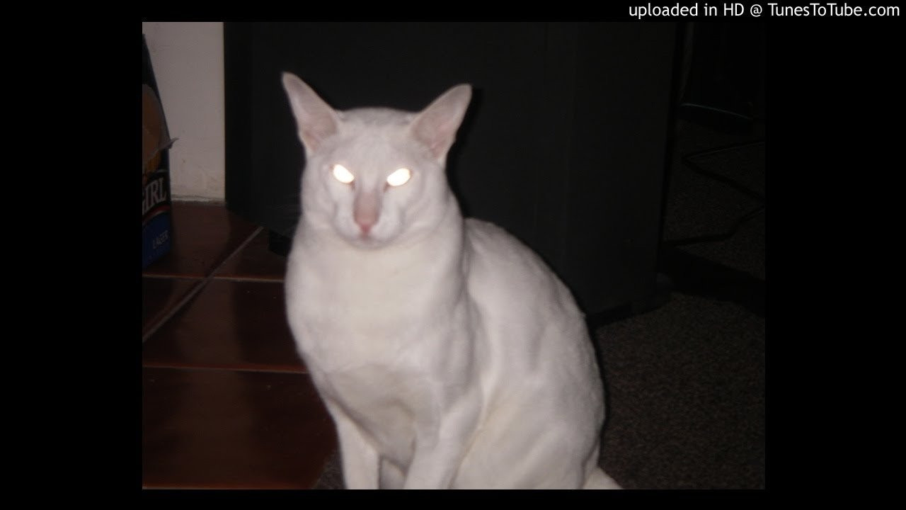 Sharpshooters-Omega<br /> Audio Alchemy<br /> <br /> -uploaded in HD at http://www.TunesToTube.com