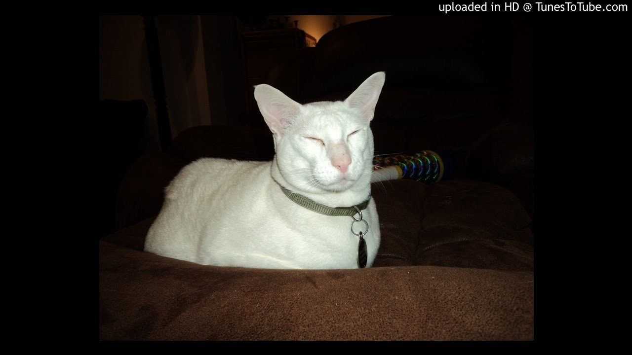 Roundtable MCs-Mad Mad World (instrumental)<br /> <br /> -uploaded in HD at http://www.TunesToTube.com