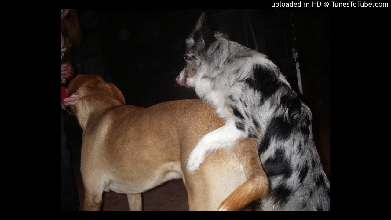 Q-Burns Abstract Message-Last Stand<br /> Audio Alchemy<br /> <br /> -uploaded in HD at http://www.TunesToTube.com