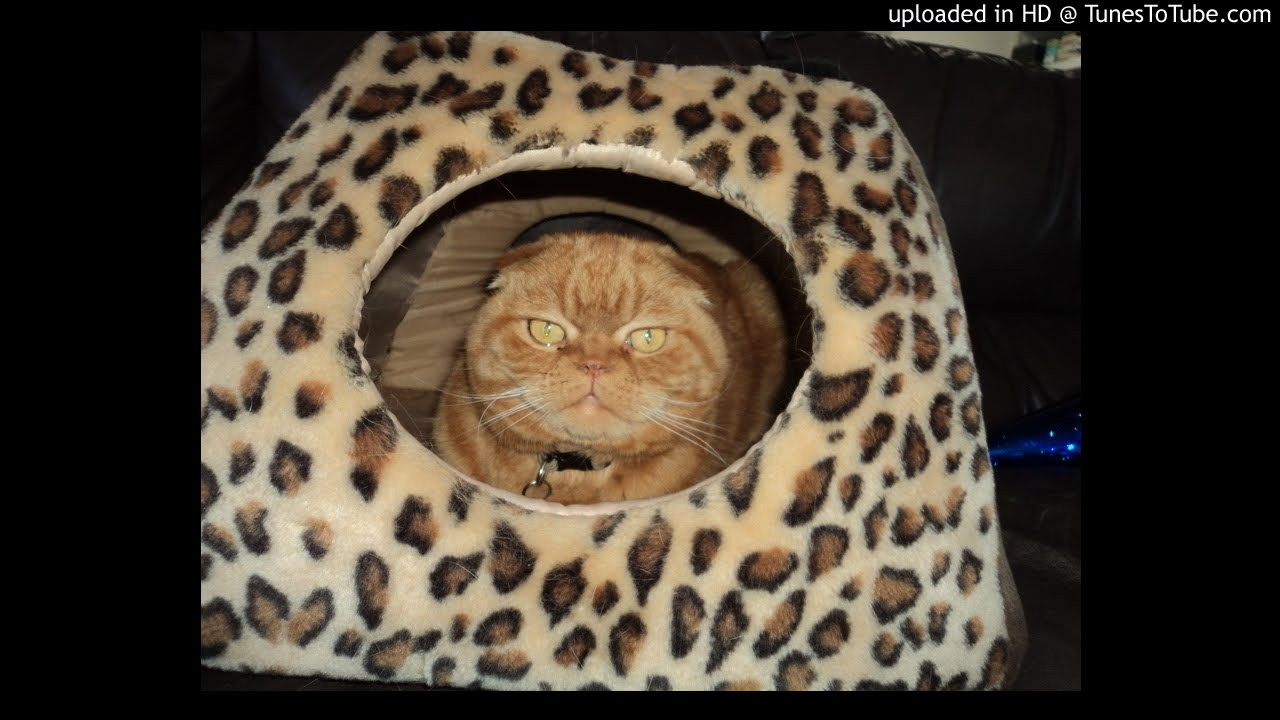 Roundtable MCs-Arctic Battles (instrumental)