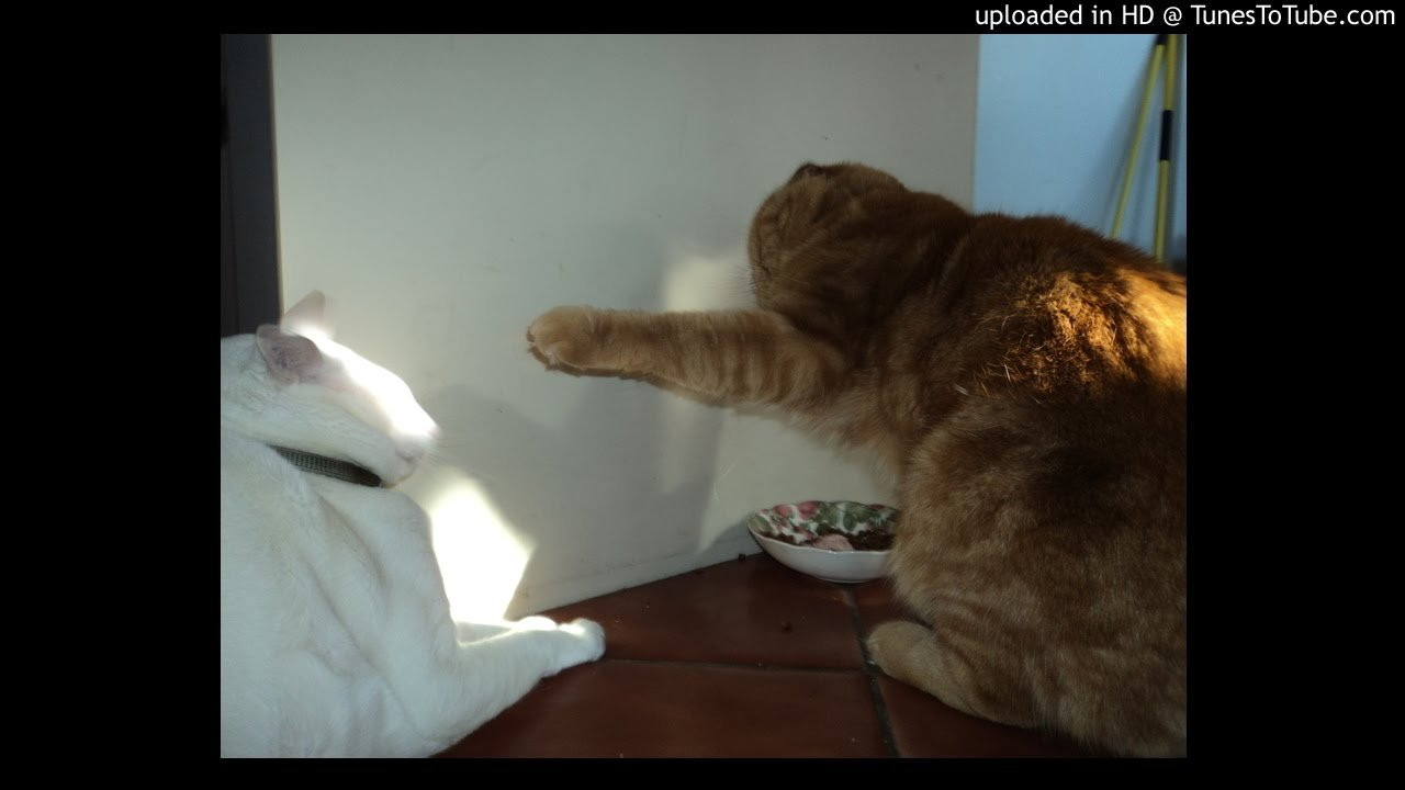 Roundtable MCs-SD Chargers (instrumental)<br /> <br /> -uploaded in HD at http://www.TunesToTube.com