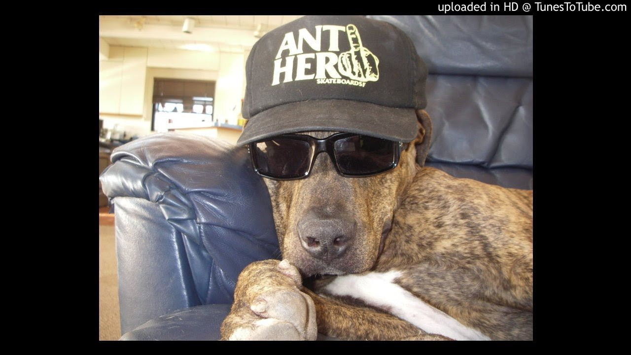 Gravediggaz-Constant Elevation<br /> 6 Feet Deep<br /> <br /> -uploaded in HD at http://www.TunesToTube.com