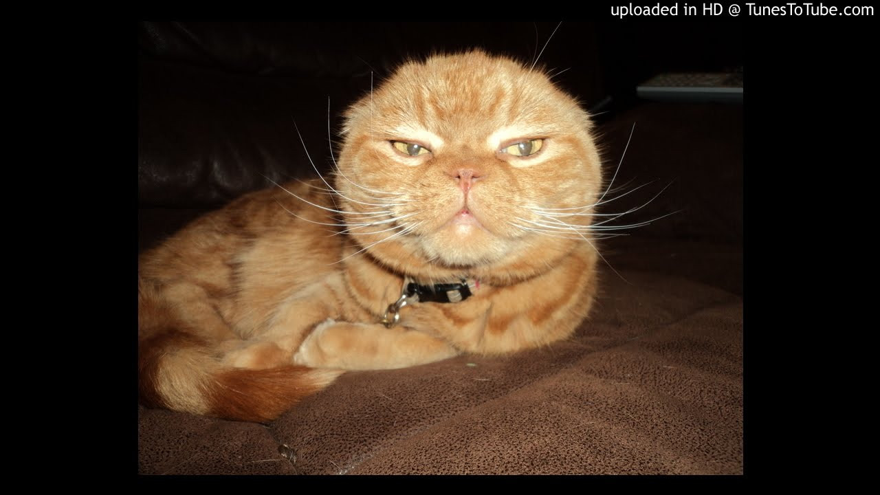 Icons-Peanut Butta Skies (instrumental)<br /> <br /> -uploaded in HD at http://www.TunesToTube.com