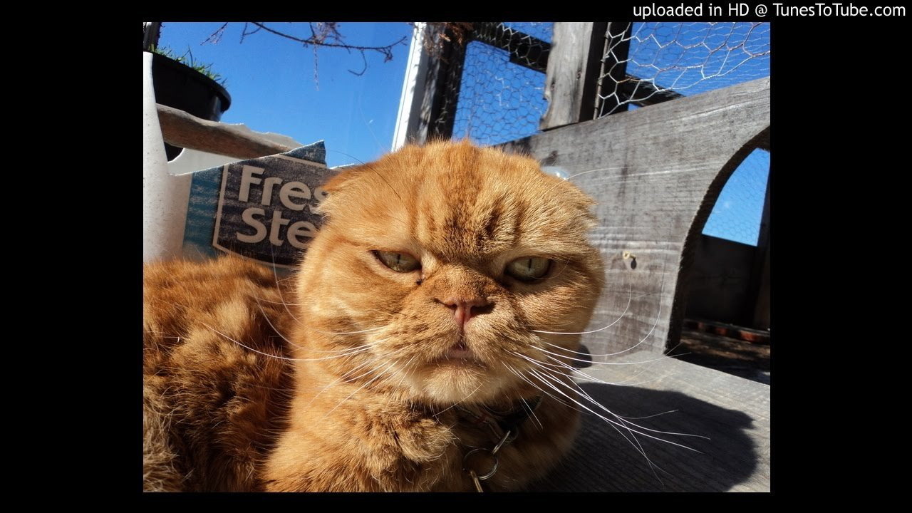 12 Jewels-Outside World<br /> P-Jays Records<br /> <br /> -uploaded in HD at http://www.TunesToTube.com