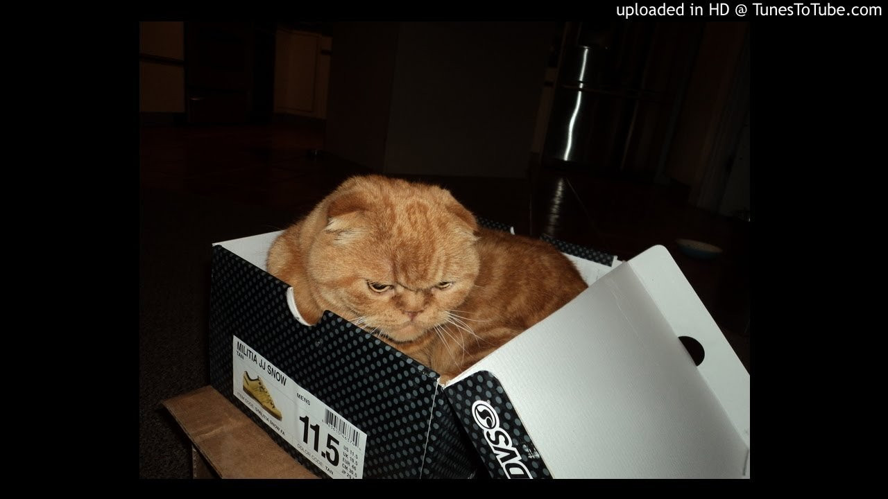 Roundtable MC's-Arctic Battles<br /> Universal Discussion<br /> <br /> -uploaded in HD at http://www.TunesToTube.com