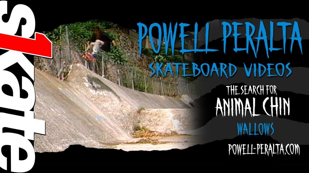 The Bones Brigade search for Animal Chin at Wallows in Hawaii. From "The Search For Animal Chin"<br /><br />Free download of Animal Chin here: http://animalchin.com/